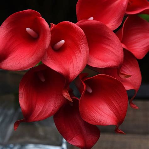 FiveSeasonStuff 10 Stems Real Touch Red Calla Lilies Etsy In 2021