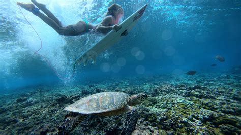 Wallpaper Surfing Girl Sea Underwater Sport 500