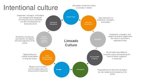 How To Be A Culture Architect