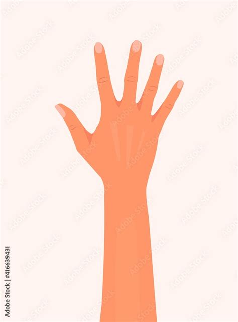 Hand Showing Five Fingers And Palm Vector Illustration Woman Or Man Hand Isolated White