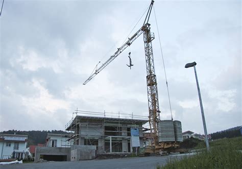 Dogs who are versatile and meet the highest standards as working dogs, show dogs, and companions. Wolfsgrube - Rottweiler Bilder