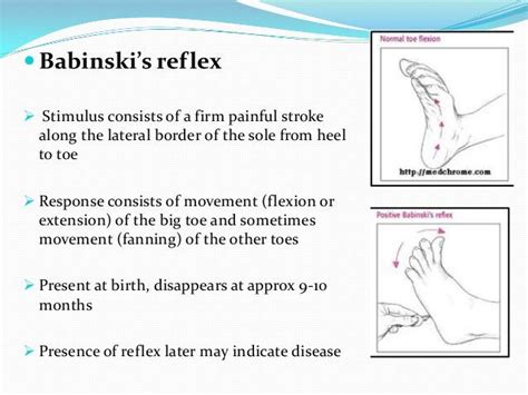 Reflexes Present In Infants Nursing School Survival Nursing School