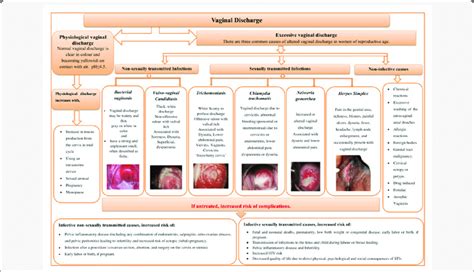 Vaginal Discharge Chart