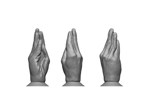Hand 3d Print Model In Anatomy 3dexport