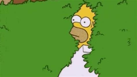 Homer Simpson Uses His Own Backing Into Bushes  On The Simpsons