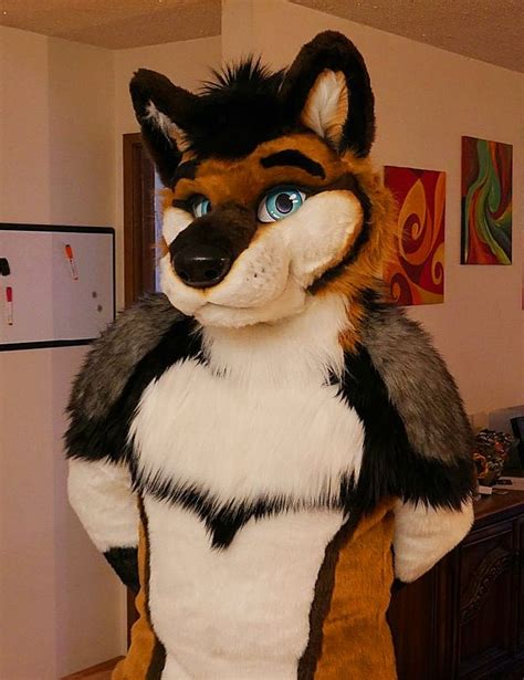 Norsewolf • 北欧狼 On Twitter Rt Friduwulf Just Arrived To Vancoufur Heres How To Find Me