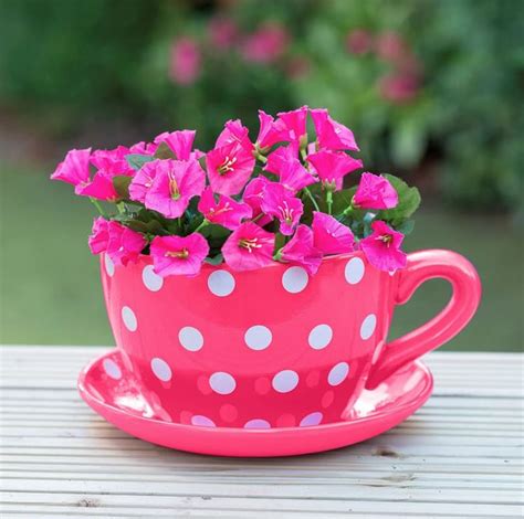 Giant Tea Cup Plant Pot