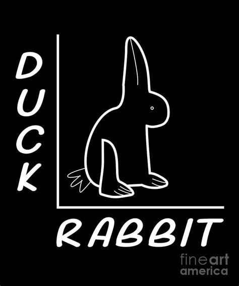 Duck Bunny Optical Illusion Digital Art By Shirtom Fine Art America