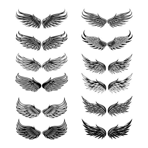 conjunto de vetores de anjo de asas vetor premium