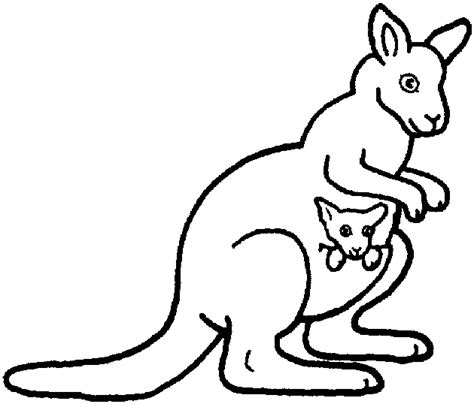 Free Australian Animals Coloring Pages