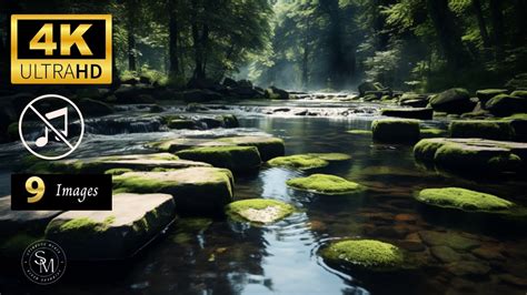 🌲lush Green Art For Your Tv Screensaver Calming Forests Pure Nature