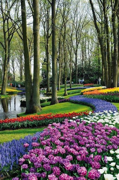 Keukenhof Gardens Near Amsterdam Netherlands Relax More With
