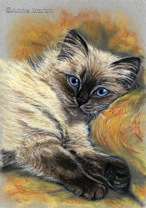 Ragdoll Cat Peace At Last Limited Edition Print Of Painting Anne Marsh