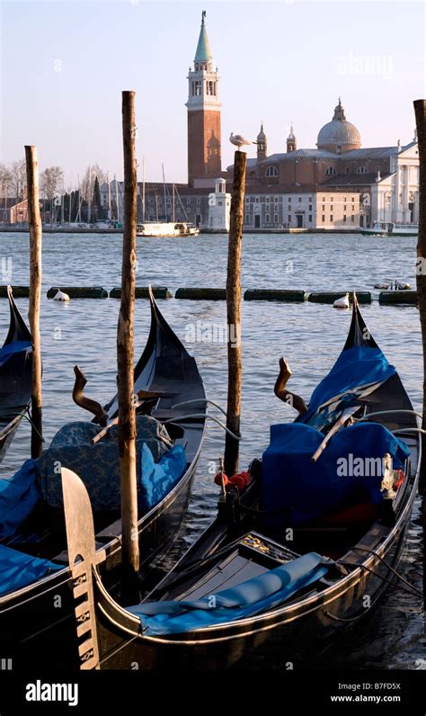 Gondolas Covered In The Early Evening In Venice With The Island Of San