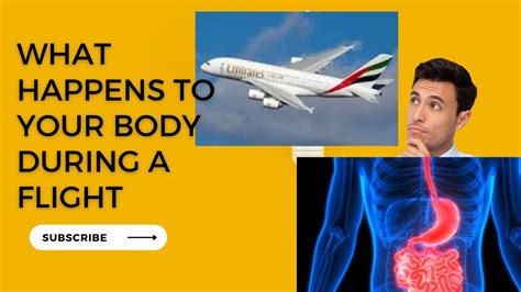 what happens to your body during a flight youtube