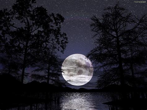 Full moon shining in the river wallpapers fantasy wallpapers. Full Moon Wallpapers ~ High Definition Wallpapers|Nature ...