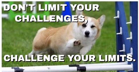 Meme Challenge Your Limits