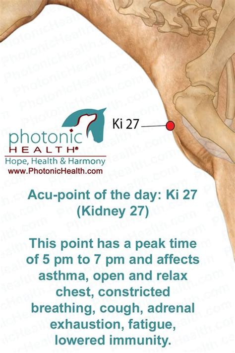 Acu Point Of The Day Ki 27 Kidney 27 This Point Has A Peak Time Of 5