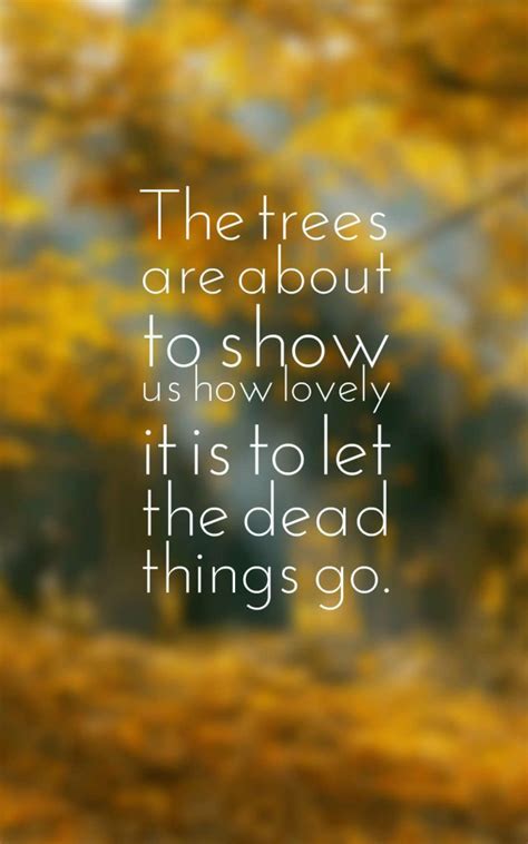 32 Inspirational Autumn Quotes With Images
