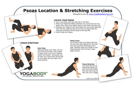 Psoas Location And Stretch Pose Chart Hipflexor Psoas Stretch Exercise Stretching Exercises