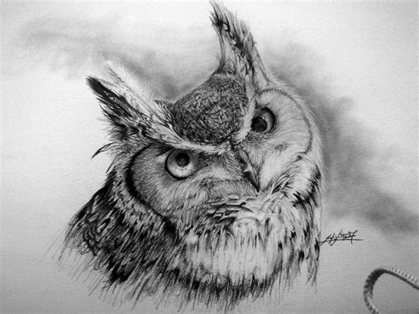 Great Horned Owl By Pikasso1989 On Deviantart