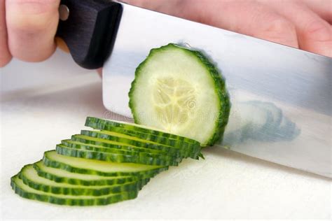Cutting Cucumber Stock Image Image Of Kitchen Vegetarian 20246037