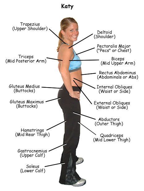 Photo Of Young Woman With All Of The Major Muscles Labeled Side View