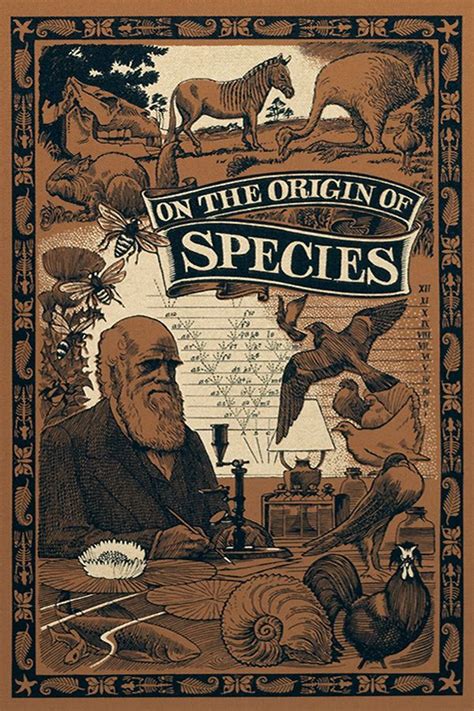 On the Origin of Species | Origin of species, Species, The originals
