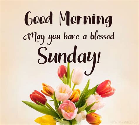 70 Happy Sunday Wishes Messages And Quotes Wishesmsg Good Morning