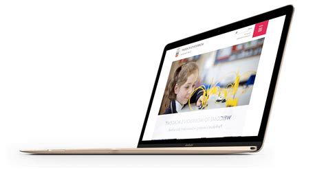 MSO Web Agency - School Website Design | Website design, School website, Fun website design