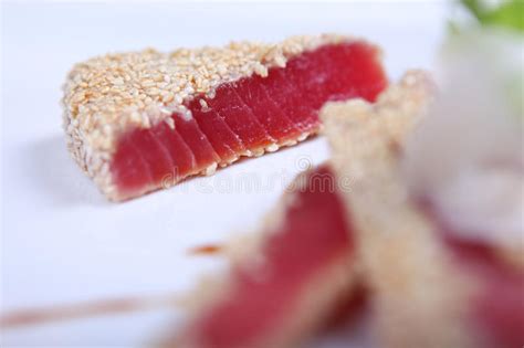 Fresh Tuna Stock Photo Image Of Fish Gourmet Piece 25176000