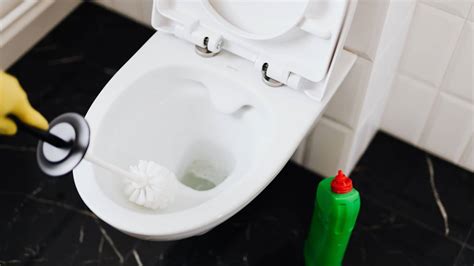 6 Diy Methods To Unclog A Toilet — Ultimate Blockage Guide‐ Wp Plumbing