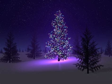 Lighted Christmas Tree In Winter Forest Image Id 17889 Image Abyss