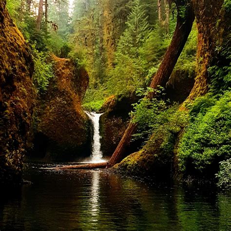 Punch Bowl Falls Hood River County Oregon Easily One