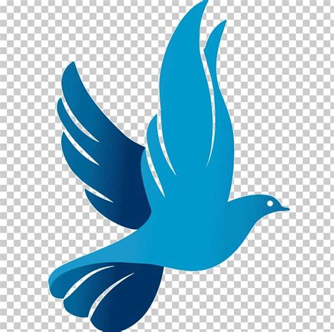 Columbidae Rock Dove Doves As Symbols Computer Icons Peace Symbols Png