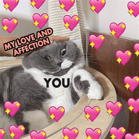 A wholesome meme is a type of meme that portrays self love and confidence, usually when you see a wholesome meme, it will contain a bunch of emoji style hearts, and a gun, a gun portrayed to be a. Wholesome Memes To Cheer You Up On The Fly | Supportiv