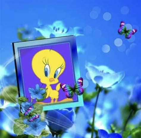 Tweety Bird Tiny Toons Birds 2 Humming Birds Tweety Bird Quotes