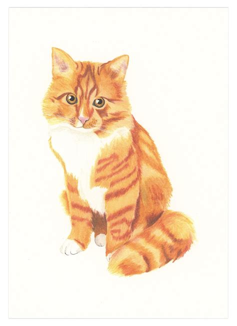 Orange Tabby Art Print By Goodpostage On Etsy White Tabby Cat Orange
