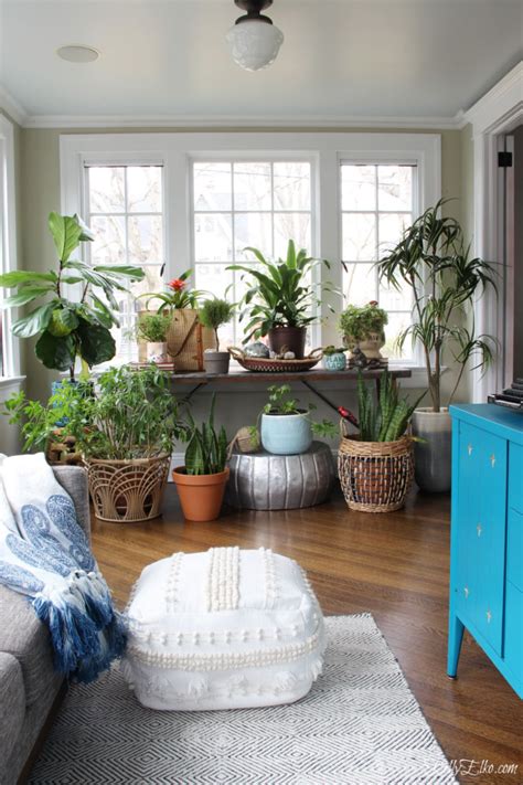 Crazy Plant Lady Sunroom Room With Plants Sunroom Decorating Plant