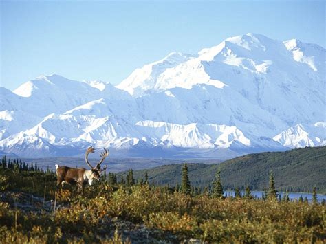 Alaska Mountains Wallpapers Top Free Alaska Mountains Backgrounds