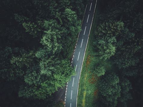 trees, Aerial view, Forest, Road Wallpapers HD / Desktop and Mobile ...