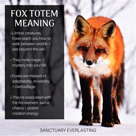 Fox Totem Meaning Sanctuary Everlasting Fox Totem Totem Meaning