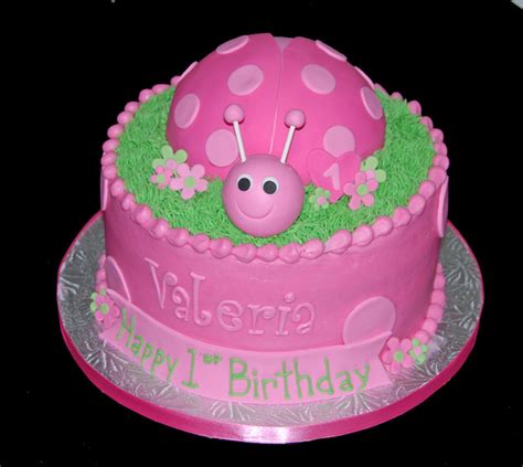 1st Birthday Pink Ladybug Cake Flickr Photo Sharing