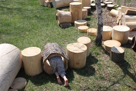 Natural Log Tunnels Made From Real Logs Crawl Through Logs Animal
