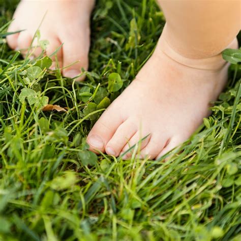 Premium Photo Close Up Baby Feet In Grass