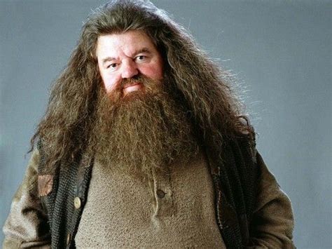 Hogwarts Professors Wallpaper Rubeus Hagrid Wallpaper Rubeus Hagrid