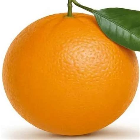 A Grade Maharashtra Fresh Orange At Rs 40kg In Goalpara Id 23088674373