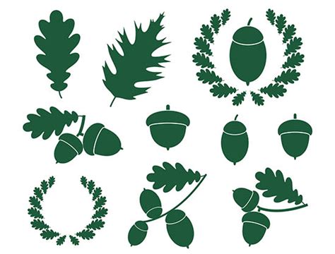 We did this by means of a historical. A Forager's Guide to Acorn and Oak Tree Types - Real Food ...