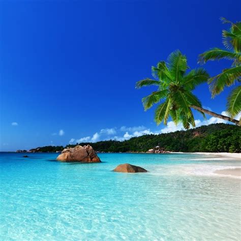 10 Best Tropical Island Wallpaper Hd Full Hd 1080p For Pc