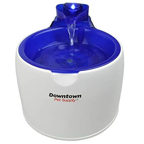 Top 30 Best Dog Water Fountains Reviewed In 2024 Petstruggles